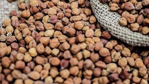 Chana 
