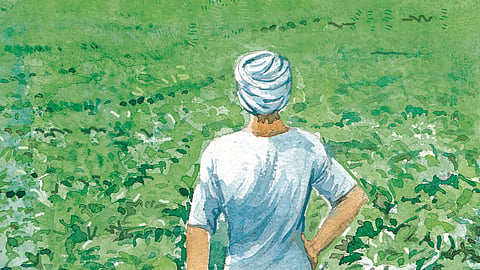 Indian Agriculture
