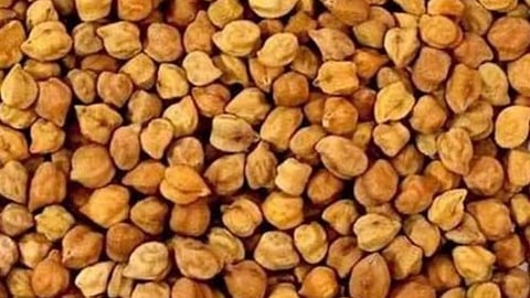 Chana 