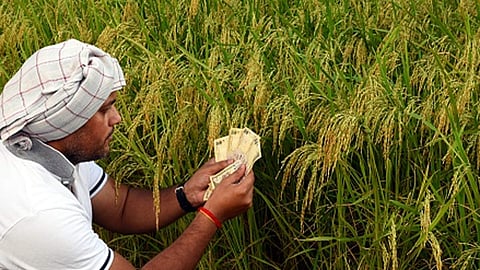 Crop Loan