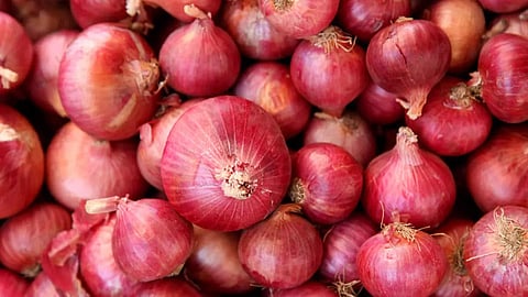 Onion 
