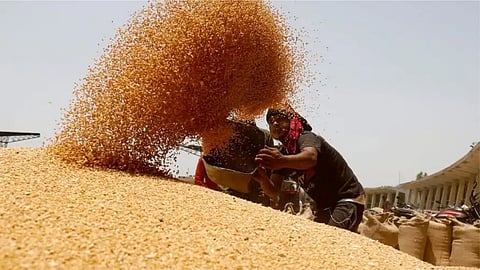 Wheat Export