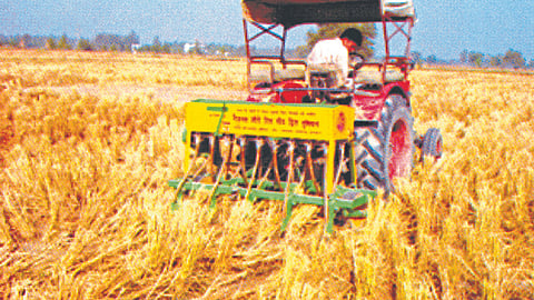 Sustainable Agriculture 