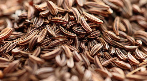 Cumin Export