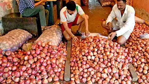 Onion