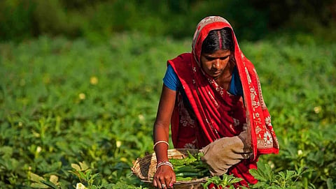 Agricultural Labor