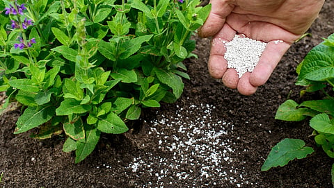 Fertilizer