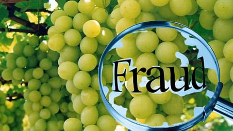 Grape Farmer Fraud