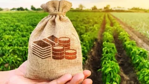 Crop Loan