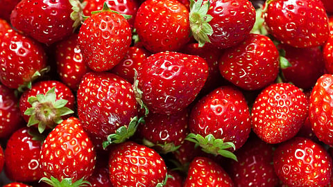 Strawberries