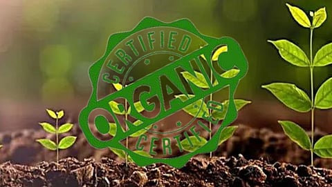 Organic Certification