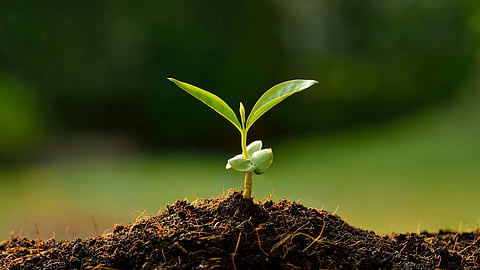 Biostimulant Act