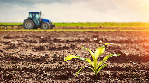 Agriculture Development