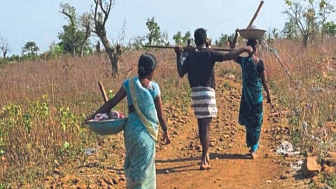 MGNREGA