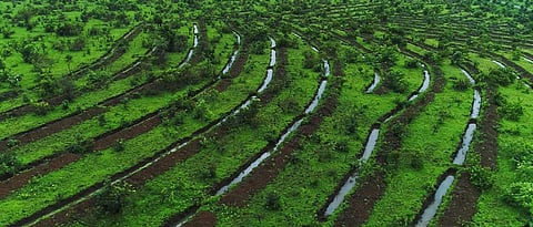 Watershed MAnagement