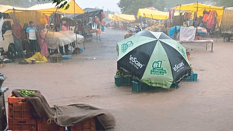 Rain Update