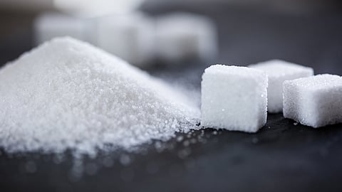 Sugar Production