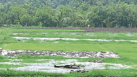Heavy Rain