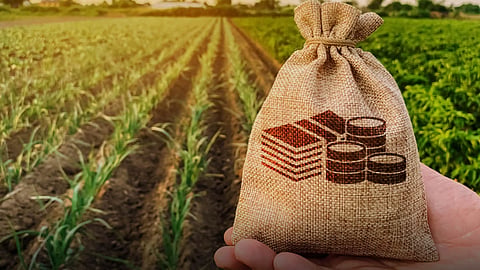 Crop Loan