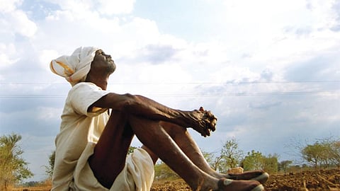 Farmer Death