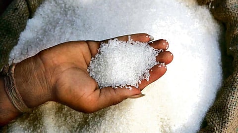 Sugar Export 