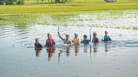 Assam Flood