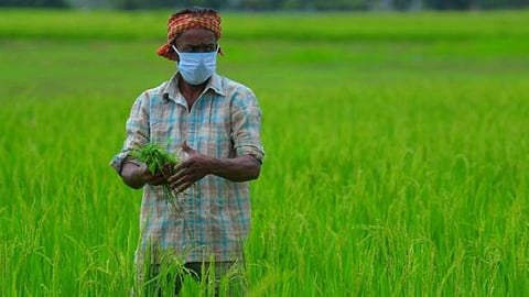 Indian Farmer