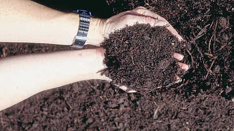 Organic Carbon