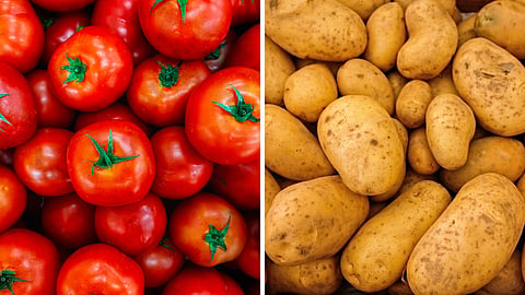 Vegetable