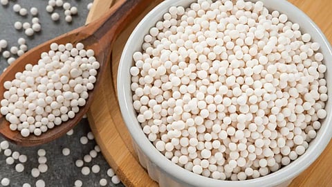 Sabudana 