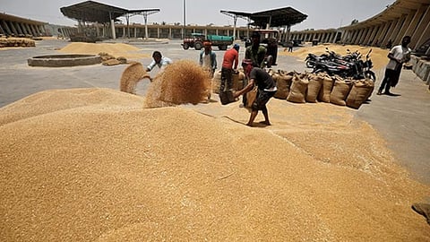 Wheat Export Ban
