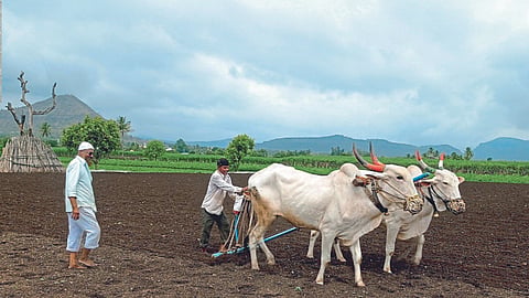  Paisewari