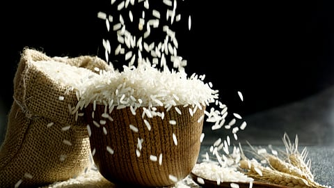 Rice Procurement