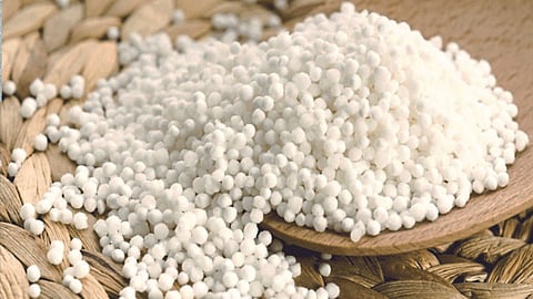 Sabudana Rate