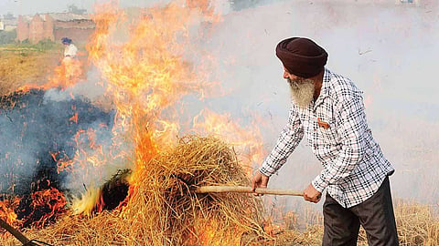 Stubble Burning