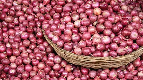Onion 