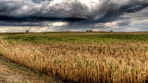 Rainfall
