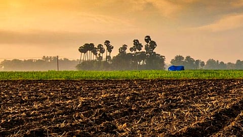 Indian Agriculture