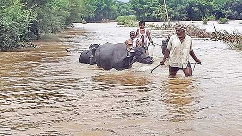 Rain Updates in Parbhani, Hingoli