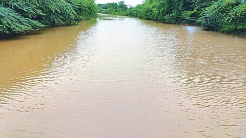 Heavy Rain