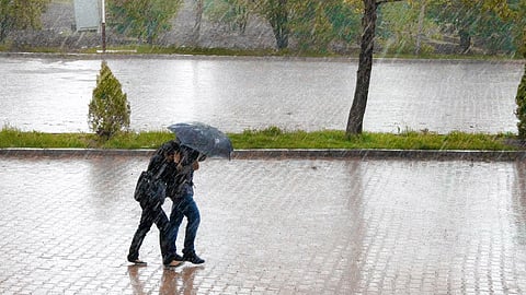 Rain Update