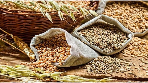 Wheat Export