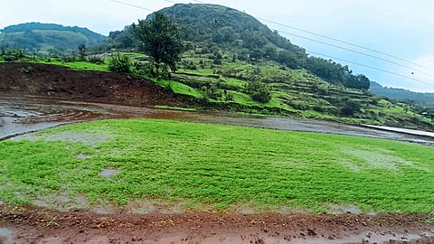 Rain Update 