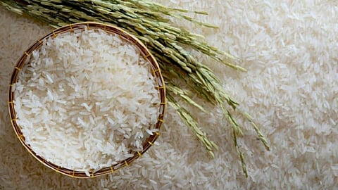 Export Non Basmati rice