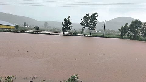 Heavy Rain in Nashik | Nashik Rain News