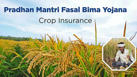 PM Kisan