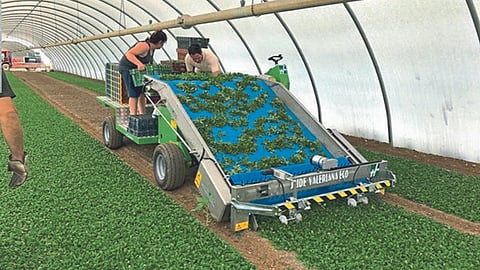 Agriculture Mechanization