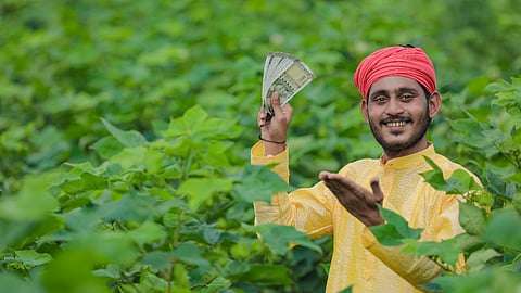 farmer Income 