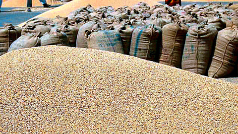 Wheat Export