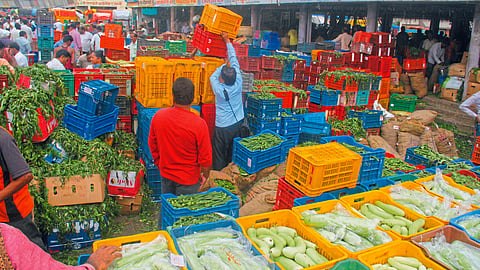 Agriculture Marketing Policy
